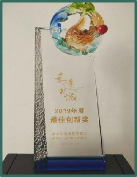 嘉定新城2019年度最佳创新奖