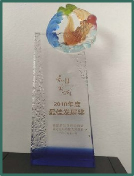 嘉定新城2018年度最佳发展奖